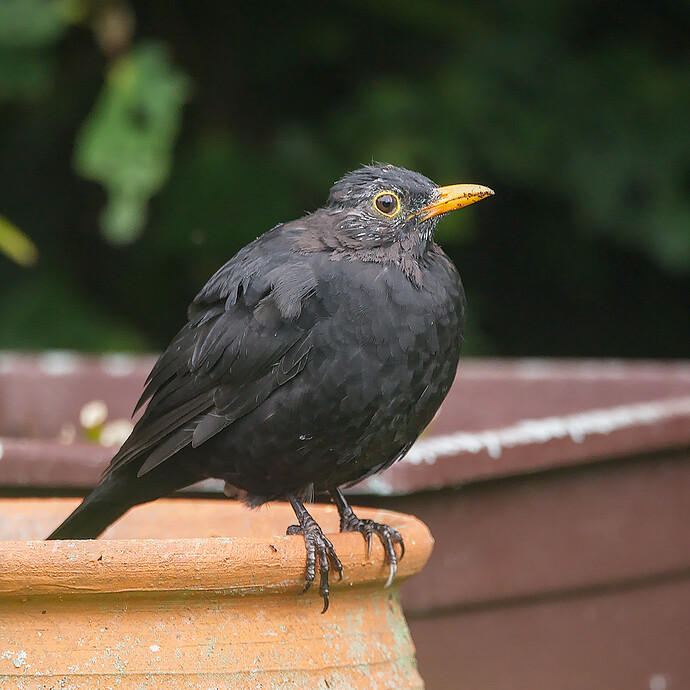 2026-03-30_16-52-12.14_DSC1885