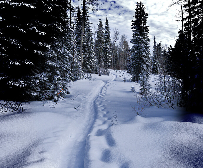 2020-02-25_10-40-25_1