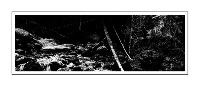 _DSC6136