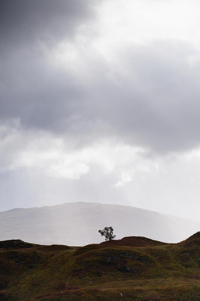 20251009_105014_DSCF0476