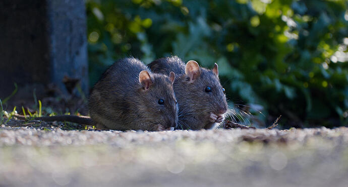 20251012_121111_DSCF1146