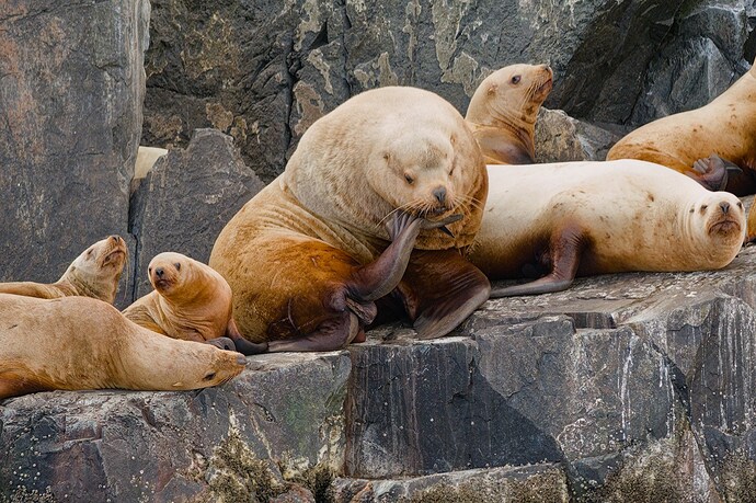 20250503-185431-2844-_DSF3788_RPF