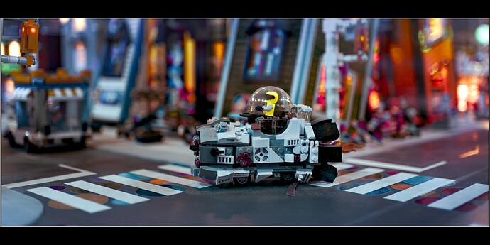 251116_120717_DSC06013