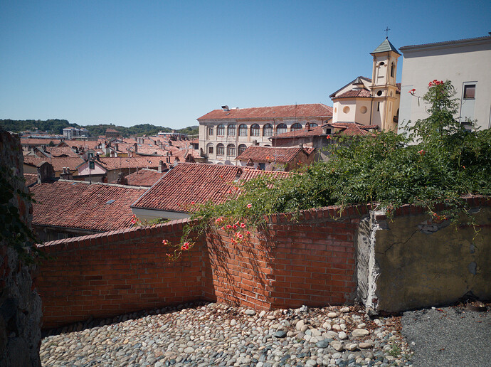 IMG_20220731_113204