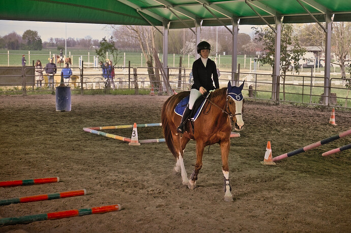 IMG_6624 Bitless_I_2023_1