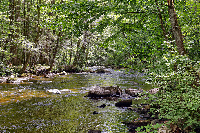 _6I_8176_proc-GIMP1 (Jpegli)