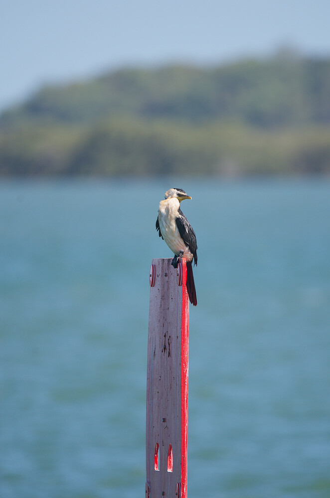 2026-01-09_14-42-06.68_DSC0443