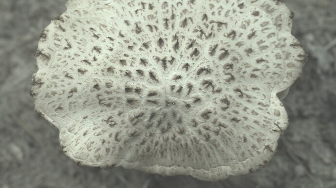 IMG02058-RAWcomposite