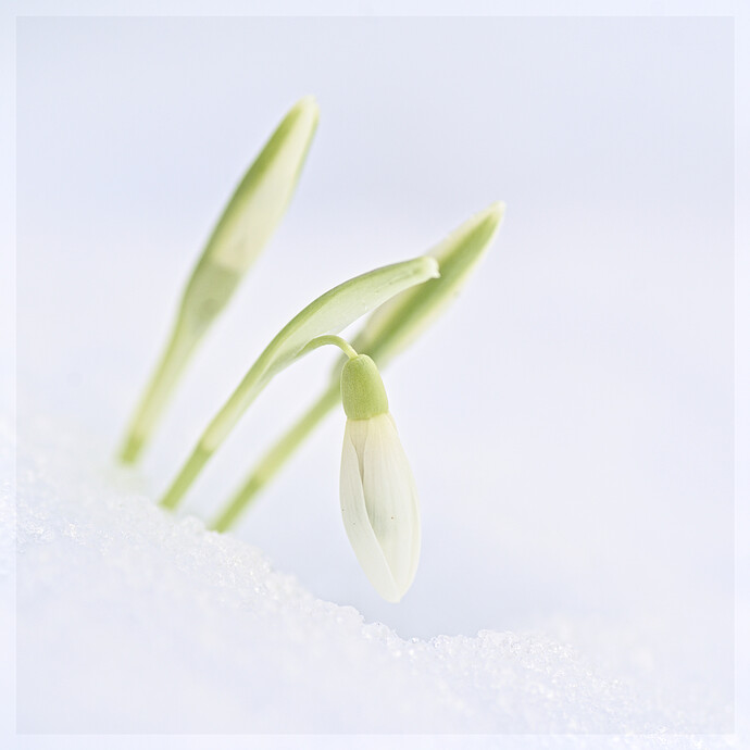 2026-02-16-260216_132312_DSC08577_LR