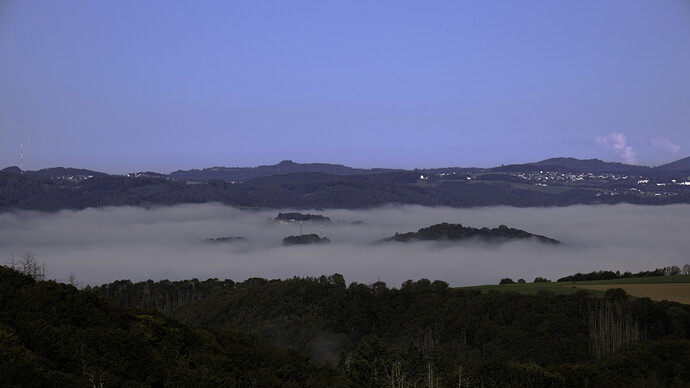 Fog
