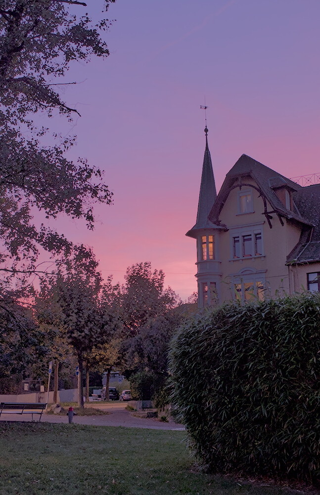 Sunset - 2023-10-10_17-09-22_P1020016-2023.10.10