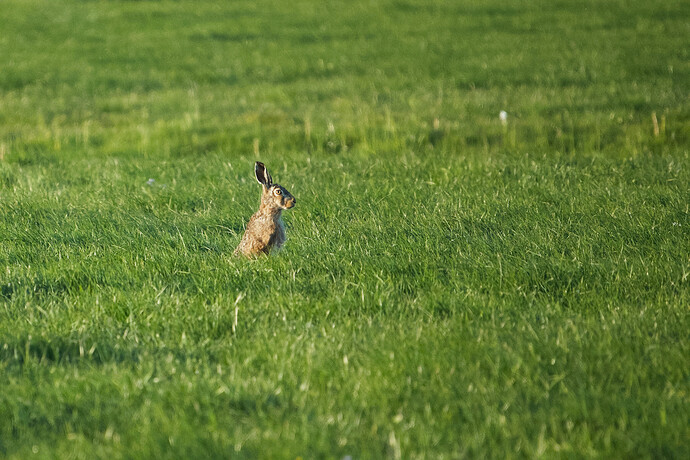 20260430-191856-DSC_0103-0.NEF