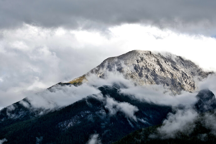 20250914-1704-0934 Rawtherapee and GIMP (Jpegli)