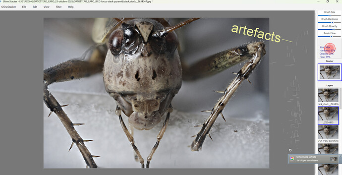 ARTEFACTS_WHILE_CLONING.png