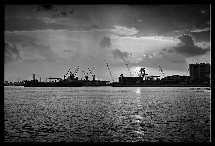 2024-03-16-_DSC2202_LR