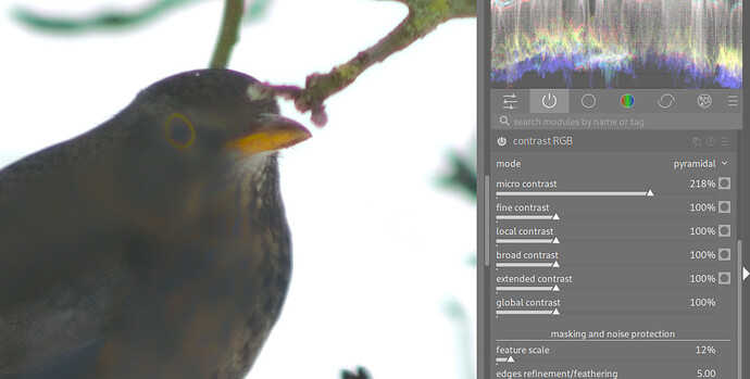 high value blurs fine contrasts