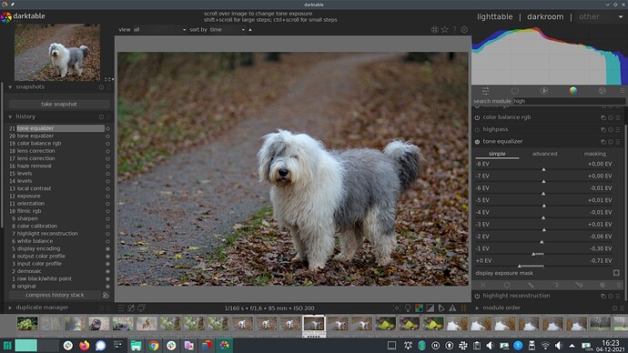 Tone_equalizer_example