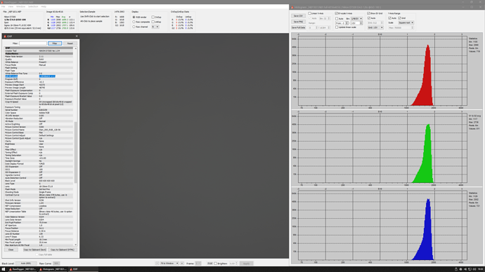 _NEF1831_Screenshot