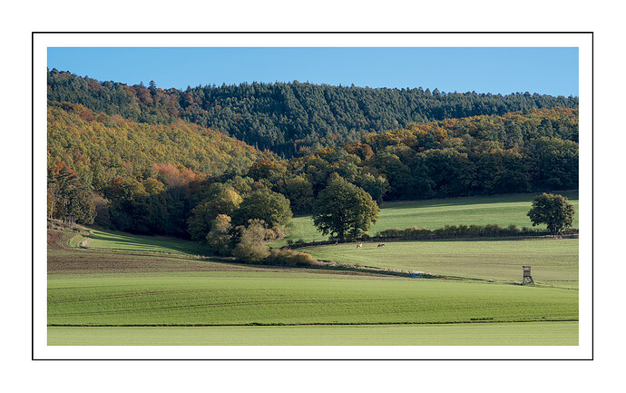 251018_094402_DSC05235