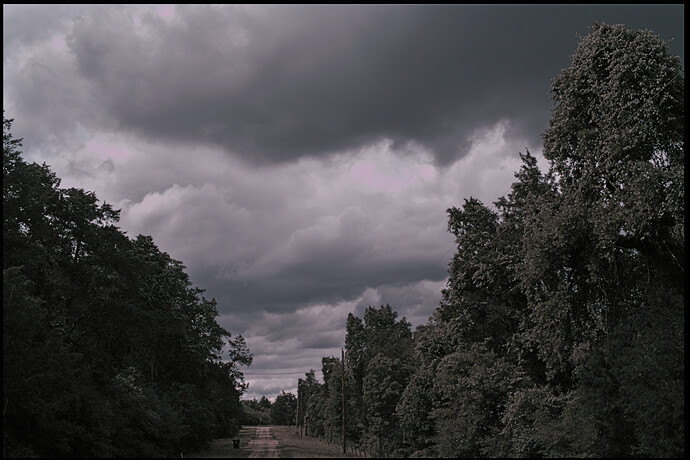 SDIM0790.tif
