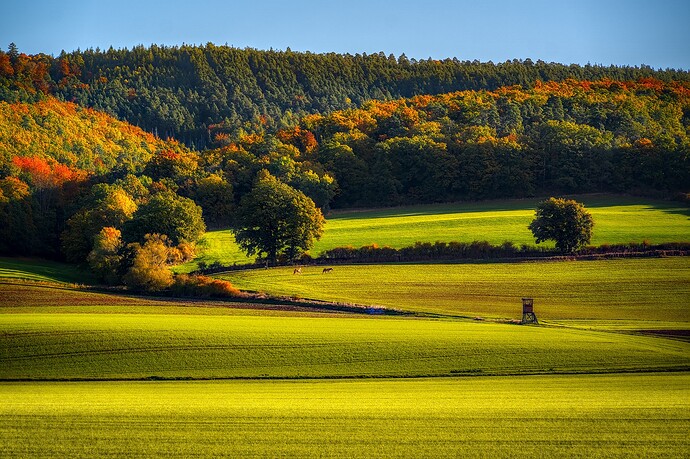 251018_094402_DSC05235_06