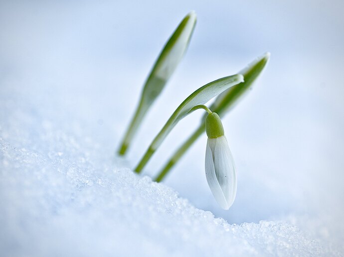 pr_260216_132312_DSC08577