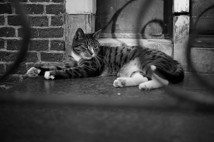 20260729-190604-Z50_2-_DSC1213-0.NEF