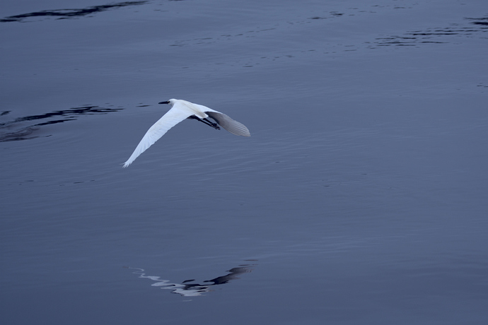 2020-02-07_12-13-22.35_DSC9547