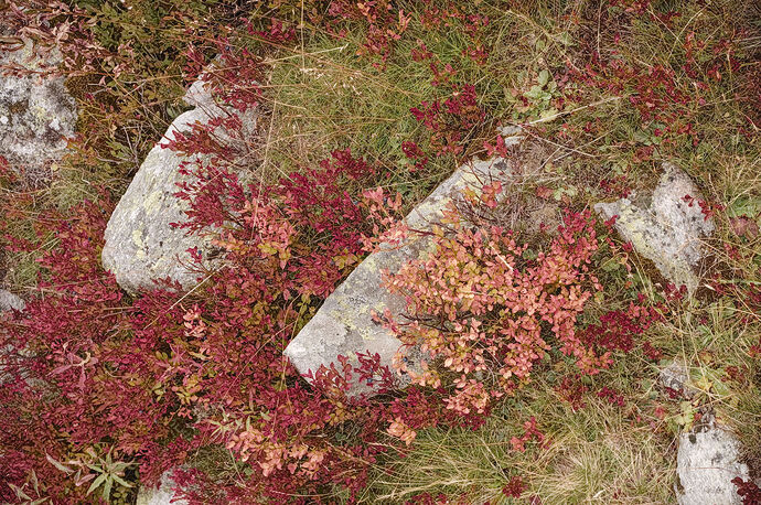 20250913_2025-09-13 nendaz_0091