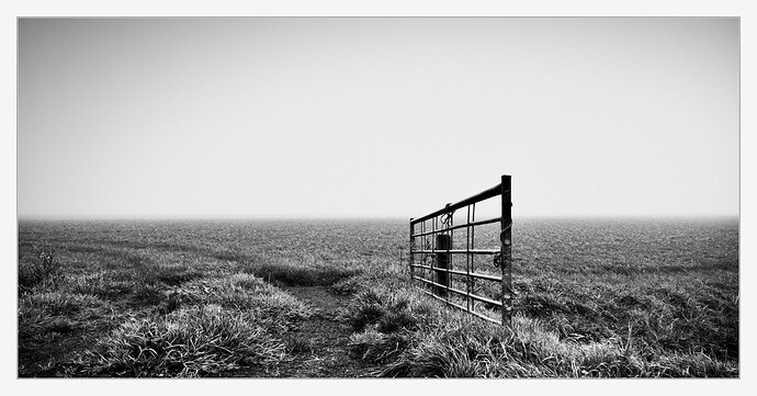 20251107_0823_0899-BW