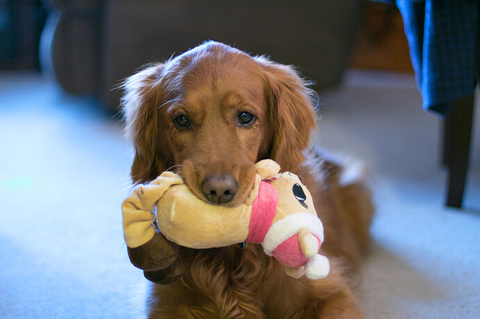 2015-01-22 093429-01-1