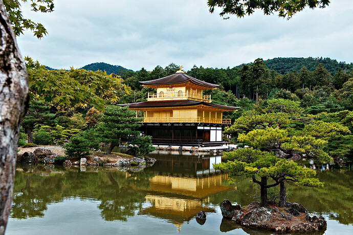 2025_10_11-10_32_54_DSCF7088