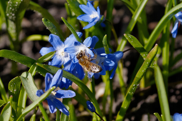 20260315-122635-DSC_1115-0.NEF