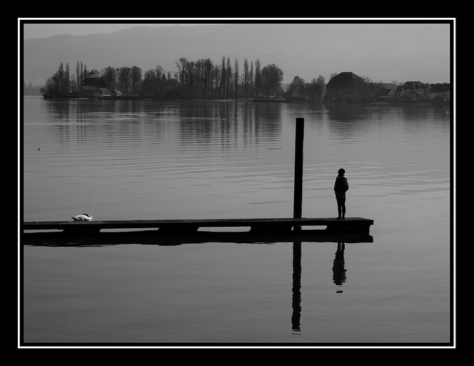20260308_130132_006_09.ORF.xmp