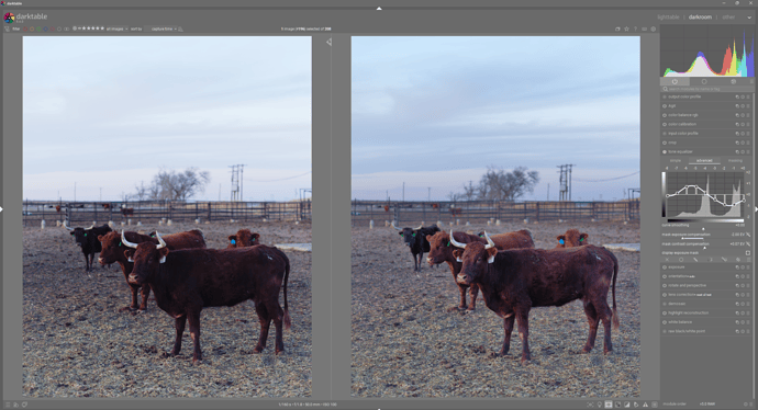 Screenshot 2026-04-01 104129