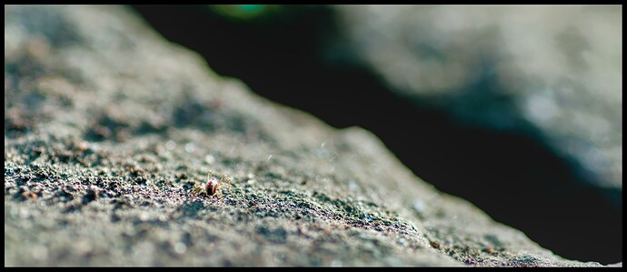 260228_164815_DSC08920