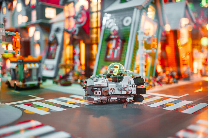 251116_120717_DSC06013