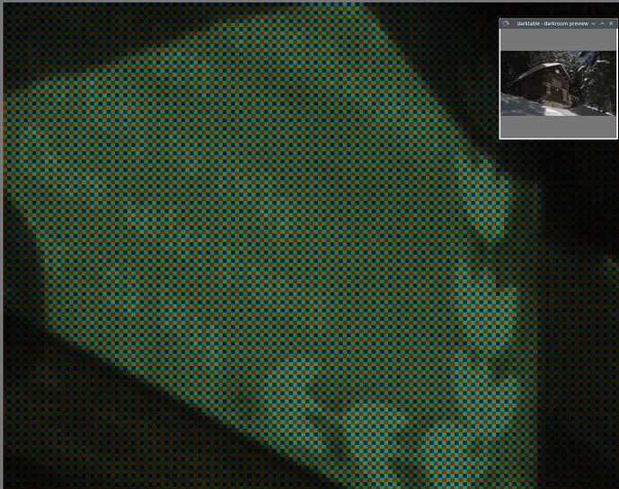3-sensor-view-with-bayer-pixels-white-balanced