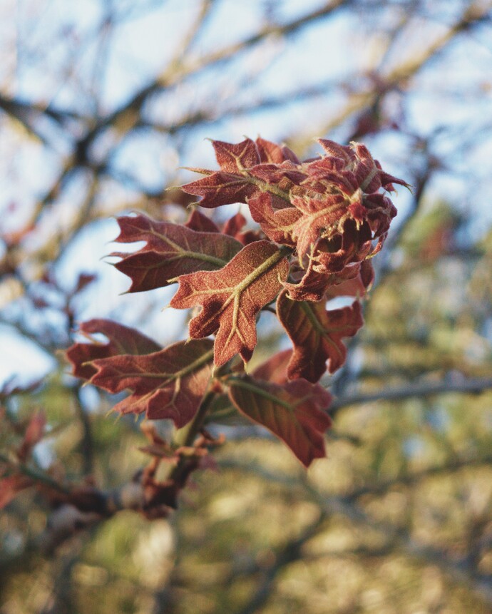 Sol_20260326_185229 (1)