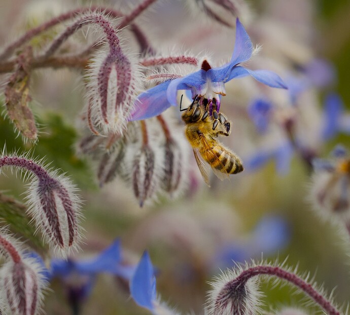 jo _20240428_2083_2024_1200x1084