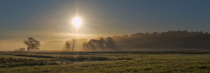 Duvenstedter Brook.tlb-1