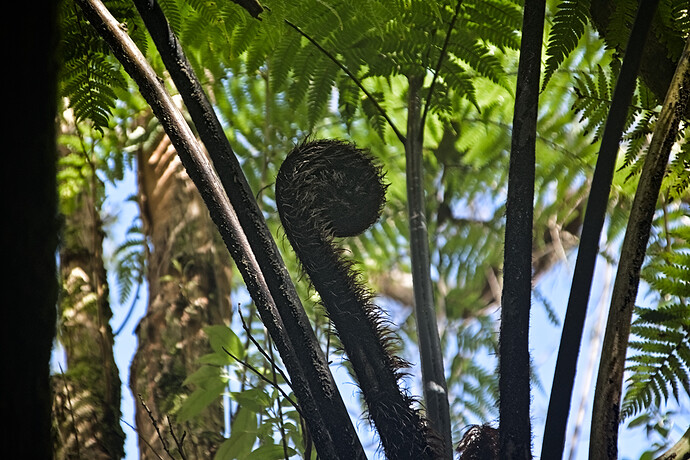 2023-09-27_13-40-10.14_DSC0620