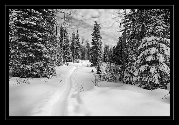 2020-02-25_10-40-25_01