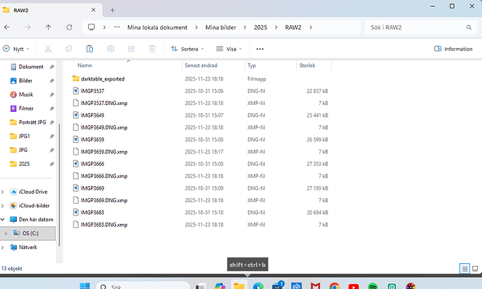 Skärmbild 2025-11-23 182052