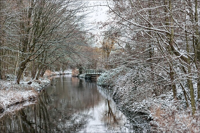 KMGQ3400-F85mm-A1.4-Heiloo_in_de_sneeuw-ISO200-dt-dk-illustration40-unpurple-2026-web