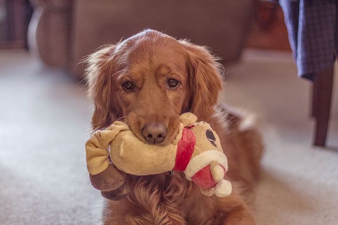 2015-01-22 093429-01_03