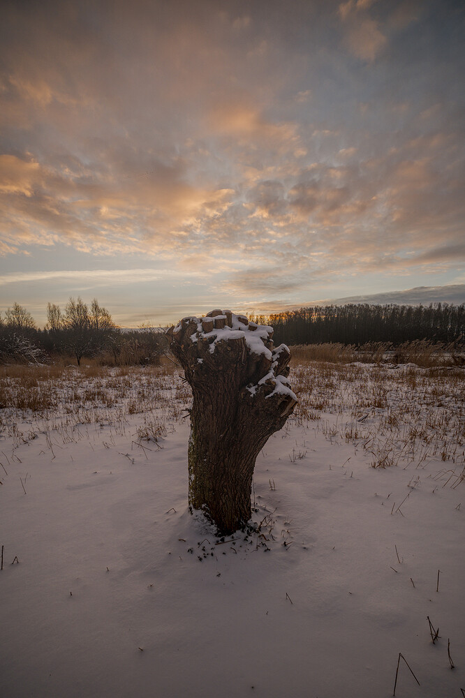 20260110-085531-DSC_2265