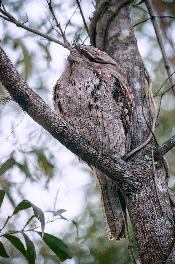2016-05-27_16-36-39DSC_3861_04