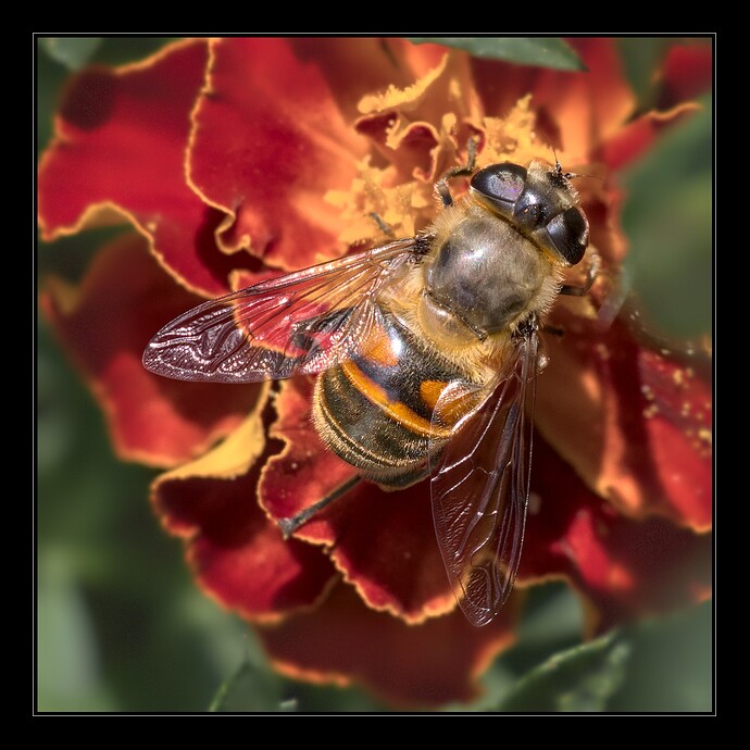 FH9A1214_0