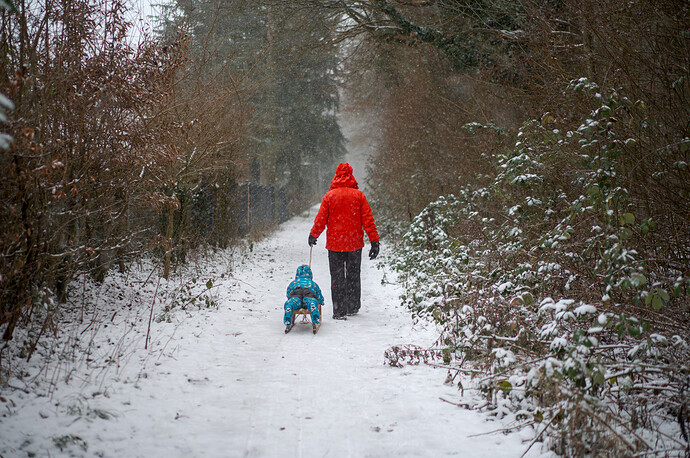 260103_161515_DSC08235